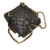 Chanel Medium Quilted Lambskin Duma Backpack Secondhand