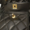 Chanel Medium Quilted Lambskin Duma Backpack Secondhand