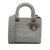Secondhand Dior Medium Canvas Cannage Lady D Lite