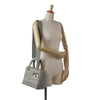 Dior Medium Embroidered Canvas Cannage Lady D Lite Secondhand