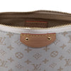 Louis Vuitton Monogram Canvas Hills Mini Pochette Secondhand