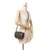 Celine Medium Triomphe Coated Canvas Folco Crossbody Secondhand
