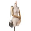 Dior Mini Metallic Glazed Calfskin Lady Dior Secondhand