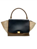 Secondhand Celine Trapeze Multicolour Bag - '00s
