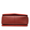 Celine Medium Shiny Smooth Calfskin Frame Shoulder Bag Secondhand