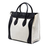 Celine Mini Bicolor Canvas and Leather Luggage Tote Secondhand