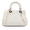 Dior Medium Embroidered Canvas Cannage Lady D Lite Secondhand