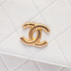 Chanel Small Quilted Calfskin About Pearls Hobo Secondhand