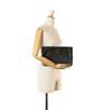 Goyard Goyardine Sainte Marie Secondhand