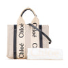 Chloé Small Canvas Woody Satchel Secondhand
