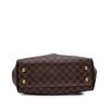 Louis Vuitton Damier Ebene Trevi PM Secondhand