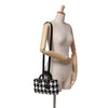 Secondhand Dior Medium Canvas Macro Houndstooth Lady D Joy