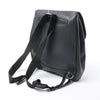 Louis Vuitton Cassiar Taiga Leather Backpack in Black M30172 Secondhand