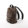 Secondhand Louis Vuitton Palm Springs PM Monogram Backpack in Brown M41560