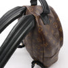 Secondhand Louis Vuitton Palm Springs PM Monogram Backpack in Brown M41560