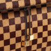 Louis Vuitton Lionne Damier Sauvage Pony-style Leather Handbag in Brown M92131 Secondhand