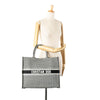 Dior Large Canvas Houndstooth Embroidered Book Tote Secondhand