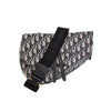 Secondhand Dior Oblique Jacquard Saddle Bag - '20s
