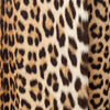 Secondhand Turrini Leopard Fur Coat - '60s