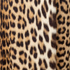 Secondhand Turrini Leopard Fur Coat - '60s