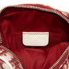 Dior Oblique Trotter Coated Canvas No.2 Crossbody Secondhand