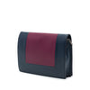 Celine Leather Frame Wallet on Chain Secondhand