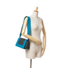 Secondhand Celine Leather Frame Shoulder Bag