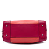 LOEWE Tricolor Goatskin Amazona 28 Secondhand