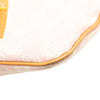 LOEWE Anagram Canvas Crossbody Secondhand
