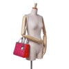 Secondhand Dior Medium Tricolor Lambskin Cannage Lady Dior