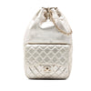 Chanel Small Metallic Lambskin In Seoul Backpack Secondhand