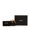 Chanel CC Quilted Lambskin Kiss Lock Clutch with Chain Secondhand