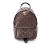 Louis Vuitton Monogram Palm Springs PM Secondhand