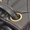 Chanel Medium quilted Lambskin Duma Backpack Secondhand