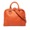 LOEWE Medium Leather Amazona 75 Satchel Secondhand