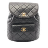 Chanel Medium Quilted Lambskin Duma Backpack Secondhand