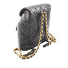 Chanel Medium Quilted Lambskin Duma Backpack Secondhand