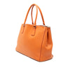 Prada Medium Soft Calf Galleria Double Zip Tote Secondhand