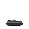 Chanel Metallic and Quilted Lambskin Mineral Nights Clutch On Chain Secondhand