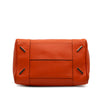 LOEWE Medium Leather Amazona 75 Satchel Secondhand