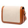 Celine Classique Canvas and Calfskin Triomphe Crossbody Secondhand