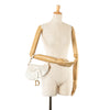 Dior Mini Oblique Embroidered Canvas Saddle Bag Secondhand