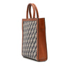 Celine Small Triomphe Canvas Maillon Vertical Cabas Satchel Secondhand