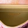 Chanel Mini Quilted Crinkled Goatskin Rainbow Reissue 2.55 Single Flap 224 Secondhand