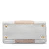 Secondhand Prada Saffiano Trimmed Canvas Canapa Satchel