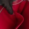 Louis Vuitton Epi Toiletry Pouch 26 Secondhand