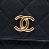 Chanel Small Quilted Calfskin Chain Hobo Flap Secondhand