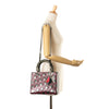 Dior Anselm Reyle Medium Metallic Lambskin Cannage Lady Dior Secondhand