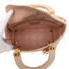 Dior Medium Embroidered Canvas Cannage Lady D Lite Secondhand