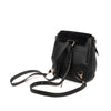 Chloé Medium Calfskin and Suede Faye Backpack Secondhand